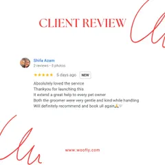 This review highlights what I strive for: a gentle, kind, and helpful service that pet owners can rely on. Thank you for the wonderful feedback.