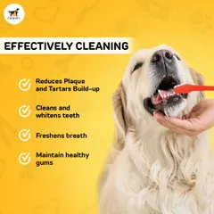 A healthy smile is a happy smile. Our dental cleaning products are designed to effectively reduce plaque and tartar buildup, which helps freshen breath and maintain healthy gums for more enjoyable cuddle sessions.