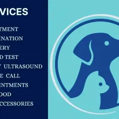 Here is a clear list of the veterinary services I provide, with a special focus on house call appointments. From routine treatments and vaccinations to blood tests, I handle many essential health needs right at your doorstep.