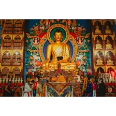 A wide view of the main shrine during a teaching by the Dalai Lama, showing the ornate altar and the golden Buddha statue. This photograph documents the scale and grandeur of the spiritual ceremony.