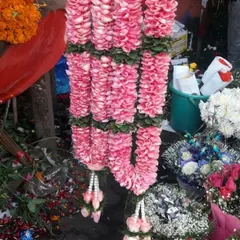 A close-up of a thick jaimala made from fresh pink rose petals. I have been making these for 50 years and guarantee the freshest flowers and best quality.
