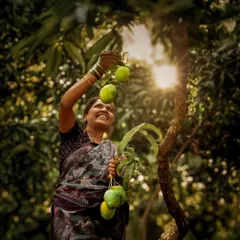 For me, food videography is about capturing emotion. This shot from a brand project shows the pure joy of a farmer harvesting mangoes, telling a story that goes far beyond just the fruit.