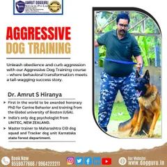 This graphic highlights our aggressive dog training course, where we focus on behavioral transformation to create a tail-wagging success story.