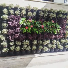 For this green wall, we created a pattern using different colored foliage, with flowering anthuriums in the center as a focal point. This is a great alternative to a traditional name board.