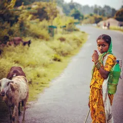 This young girl was herding her goats along a village road. Her direct gaze is so powerful. I tried to capture her strength and the simplicity of her daily life in this candid travel photograph.