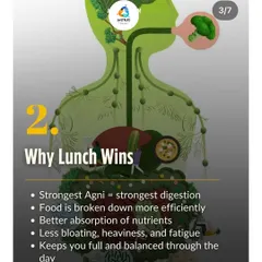 Eating your largest meal at lunch is a game changer. When your Agni is strongest, your body breaks down food more efficiently, absorbs more nutrients, and leaves you with less bloating and fatigue.