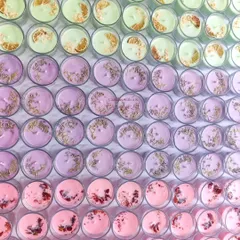 A Rainbow of Possibilities. This is what a large custom order looks like before it heads out. Rows of colorful votive candles, each topped with unique botanicals like dried lime, lavender, and rose petals, show the scale and variety I can offer for your brand or big event.