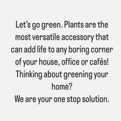 We truly believe plants are the most versatile accessory for any home, office, or cafe. If you're thinking about adding more green to your life, we are your one-stop solution for design, planning, and execution.