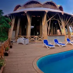 This image showcases a stunning resort structure built almost entirely from bamboo. The soaring bamboo columns and open-air design create a seamless connection with the natural surroundings, highlighting our expertise in large-scale sustainable architecture.