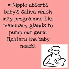 The interaction between a mother and baby during breastfeeding is remarkable. The nipple can absorb the baby's saliva, signaling the mammary glands to produce specific antibodies, or "germ fighters," tailored to the baby's needs.