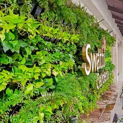 This side view of the Swathi Gardenia vertical garden shows its scale and how it interacts with the urban landscape. These green walls are not just beautiful but also help in reducing noise and air pollution.