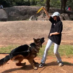Look at that drive. Working with Hustler the GSD was a blast. Using a dog's natural play drive is one of the most effective ways to train and build a strong, positive relationship.