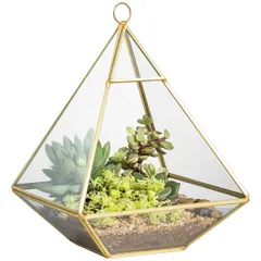 This hanging pyramid glass terrarium is perfect for a modern aesthetic. It's an elegant way to display succulents or air plants, adding a touch of nature and sophisticated design to any office desk or home.