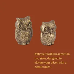 These antique-finish brass owls, available in two sizes, are designed to elevate your decor with a classic and wise touch.
