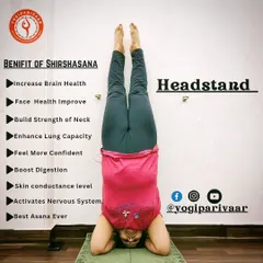 An informational graphic detailing the many benefits of Sirsasana (Headstand), from improved brain health to boosted digestion.