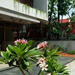 Pink and white plumeria flowers bloom in the foreground, softening the modern lines of the house behind them. Even a few well-chosen plants can dramatically enhance a building's elevation.