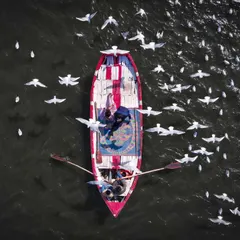 This unique top-down aerial photo was taken at the Sangam in Prayagraj. Capturing the couple in a boat surrounded by birds gives a beautiful, storybook feel to their pre-wedding album.