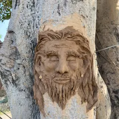 Meet my tree buddy! I created this clay sculpture on a tree trunk during a workshop, personifying the spirit of the tree. It’s a beautiful way to connect with nature.