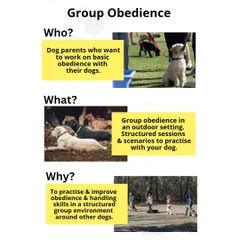This breaks down the Who, What, and Why of my group obedience training. It's designed for dedicated dog parents looking to practice in a structured environment and improve their handling skills around real-life distractions like other dogs.