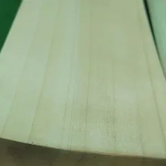 Another look at the clean face of an English willow bat available at our outlet. We offer quality bats at fair prices, starting from just 5000.