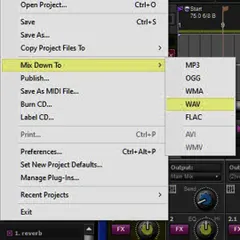 Here is a peek at the final stage of creating your song. I handle all the mixing and production myself to make sure the final audio track is polished and sounds just right. You receive a professional quality WAV file ready to be shared.