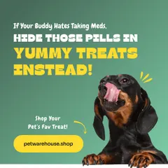 Does your buddy hate taking their medicine? A yummy treat is the perfect way to hide pills and make medicine time stress-free for both of you. We have plenty of tasty options to choose from.