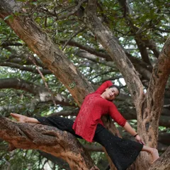 Finding my Hanumanasana (splits) in a tree. Practicing in nature adds a playful and grounding element to the challenge of deep flexibility poses.