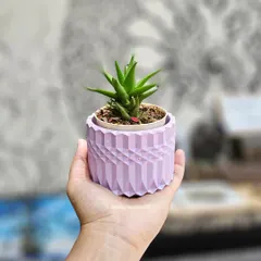 A lovely pastel lavender planter, perfect for small succulents. All my planters are made from non-toxic, eco-friendly resin and are easy to clean.