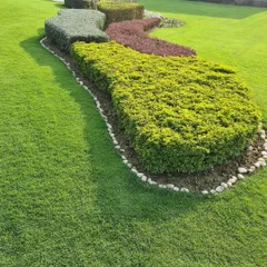 I use different colored shrubs to create patterns and shapes in lawns. This design uses a mix of green and red foliage plants, bordered with stones, for a clean and colorful look.