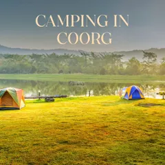 Escape the city and go camping in the lush landscapes of Coorg. We set up beautiful lakeside campsites for a perfect weekend reset.