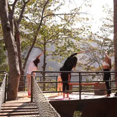 Prana is the vital life force. In our retreats, we practice asana and pranayama in beautiful natural settings, like this treehouse deck in Rishikesh, to ensure the smooth movement of prana throughout our entire system.