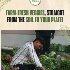 A member of my team carefully arranging fresh produce at a farmers' market. We believe in presenting our vegetables with the same care we take in growing them.