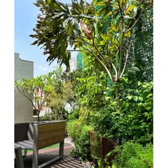 Layered planting in the 'House of Terraces' creates a dense, jungle-like feel in the heart of the city. The vertical green wall and tall plants provide privacy and a rich, biophilic experience.