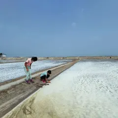 Exploring the salt pans of Tuticorin, children learn firsthand about salt harvesting and the unique ecosystems that thrive in these hyper-saline environments.