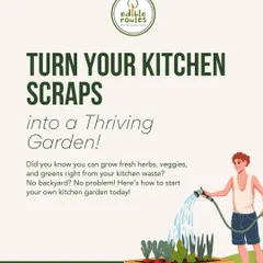 Learn to turn your kitchen scraps into a thriving garden. Our workshops teach you how to compost effectively, creating "black gold" for your plants from everyday kitchen waste like fruit peels and coffee grounds.