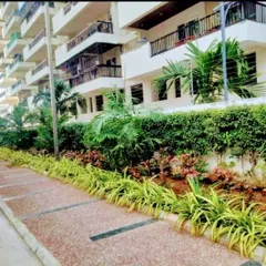For this apartment complex in Hyderabad, we designed and planted multi-level greenery along the building's perimeter. This includes a mix of ground cover, shrubs, and small palms to create a lush, low-maintenance environment.