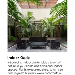 Biophilic design is a core principle for us. Introducing indoor plants not only adds a touch of nature but also helps regulate humidity and improve air quality, contributing to a fresher and more pleasant indoor environment.