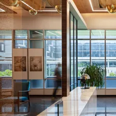 For the APT office in New Delhi, we designed a workspace that fosters collaboration and wellbeing. This view of the reception area shows how we use natural light, greenery, and a refined material palette to create a welcoming and productive environment.