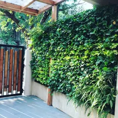 A dense and thriving vertical garden at the entrance of a Juhu home. The wall is a mix of ferns and other shade-loving plants, creating a welcoming and refreshing entryway.