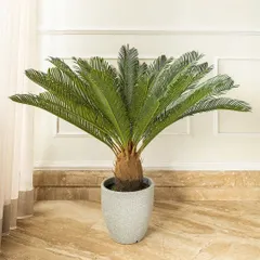 The artificial sago palm is a classic choice for adding a touch of the tropics to your home. Its fanned-out leaves create a beautiful silhouette, and it looks stunning in one of my minimalist planters.