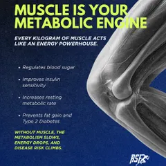 Muscle is your metabolic engine. It regulates blood sugar, improves insulin sensitivity, and increases your resting metabolic rate. Without it, energy drops and disease risk climbs.