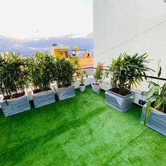 This side of the terrace is lined with large, modern planters filled with tall, leafy plants. This arrangement provides a green screen for privacy and adds a significant touch of nature to the urban environment.