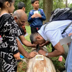 Even the parents get in on the action! Here, a father uses a magnifier to inspect a fungus on a log, sharing the moment of discovery with his child.