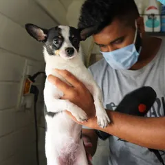 Even our smallest clients get the full professional treatment. Here, Tweety is getting a careful blow-dry to ensure she's perfectly warm and fluffy.