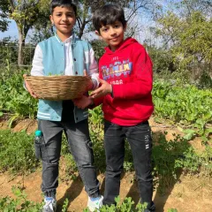 Two young boys proudly holding a basket filled with freshly harvested greens from our organic fields.