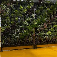 Another angle of a completed vertical garden, showing how it integrates into the building's architecture. These installations are self-watering and low-maintenance.