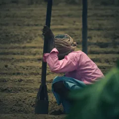 We believe in showing the real story of farming. This includes the hard work, dedication, and quiet moments that go into growing the healthy, organic food that reaches your table.