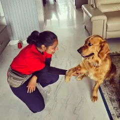 Goodbyes are tough, but they also mark a new beginning. Leo's training is complete, and he's now ready for his big move to the USA, fully crate-trained and with great leash manners.