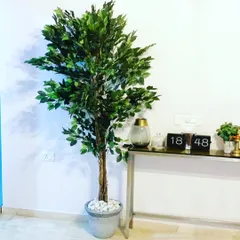 Another example of a tall artificial ficus tree in a decorative pot. This plant is perfect for filling an empty corner or placing by an entryway.