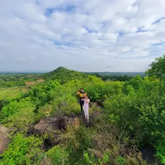 A breathtaking panoramic view of the lush green landscape from a hilltop. Our nature trails lead to stunning vistas that are perfect for photos and quiet reflection.